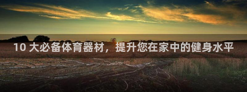 极悦娱乐百科百度:10 大必备体育器材,提升您在家中的健身水