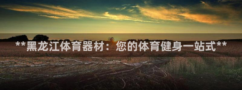 极悦娱乐股东名单:**黑龙江体育器材:您的体育健身一站式**