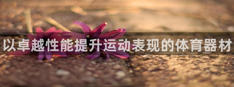 极悦平台注册登录不上:以卓越性能提升运动表现的体育器材