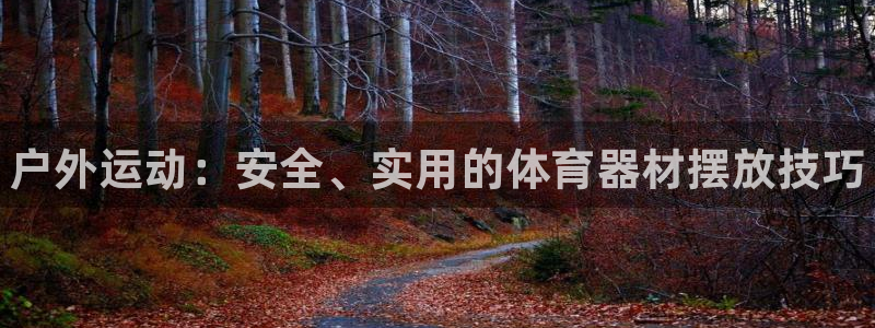 极悦娱乐官网下载:户外运动:安全、实用的体育器材摆放技巧